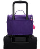 VIP Purple