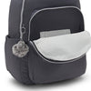 Moonlit Grey