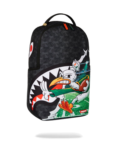 University Of Miami Touch Down