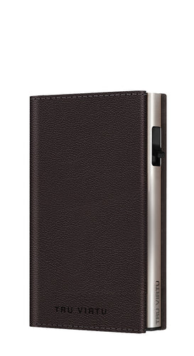 Brown/Silver
