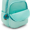 Candy Box Turq