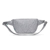 Meteor Ice