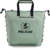 Desert Sage