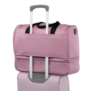 Orchid Pink Purple