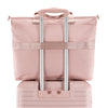 Pink Blush