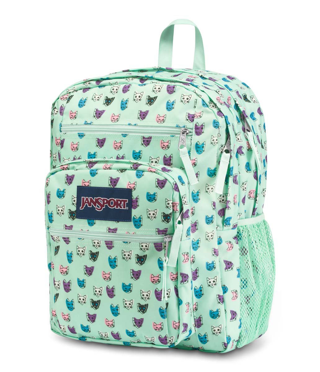 jansport backpack cactus Mini Break and more Buy Jansport Jansport Superbreak Backpack